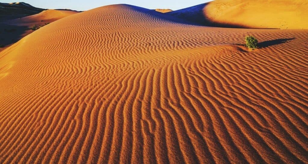 Bruneau Dunes State Park