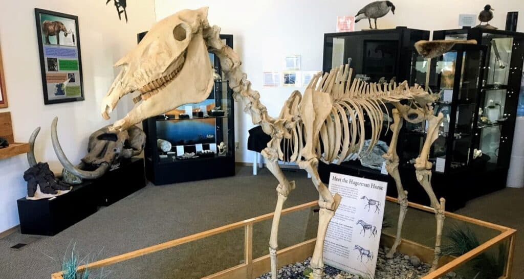 hagerman fossil beds